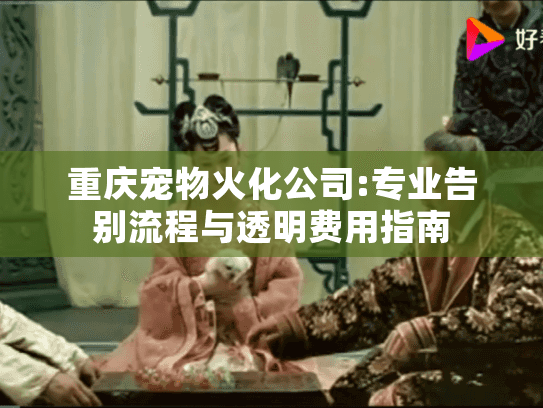 重庆宠物火化公司:专业告别流程与透明费用指南