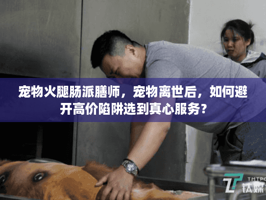 宠物火腿肠派膳师，宠物离世后，如何避开高价陷阱选到真心服务？