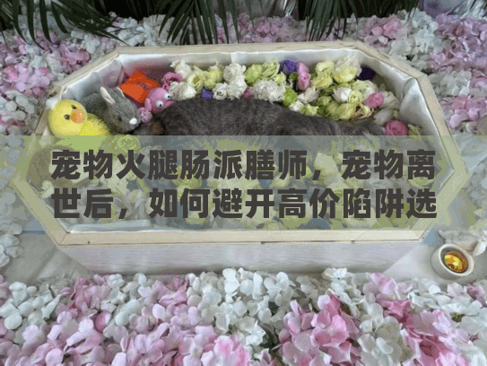 宠物火腿肠派膳师，宠物离世后，如何避开高价陷阱选到真心服务？