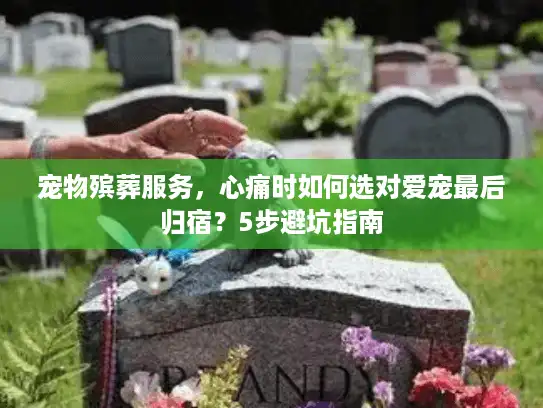 宠物殡葬服务，心痛时如何选对爱宠最后归宿？5步避坑指南
