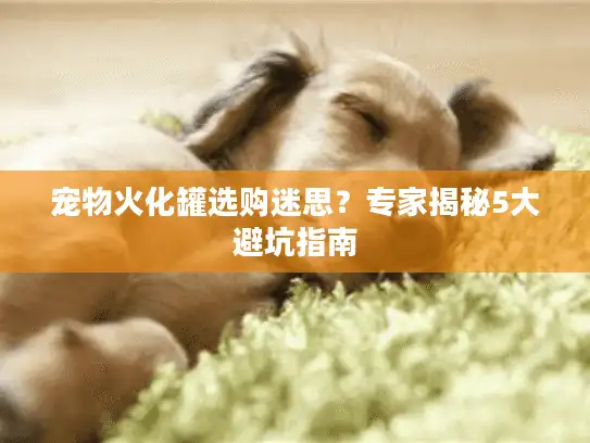 宠物火化罐选购迷思？专家揭秘5大避坑指南
