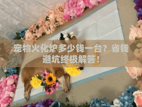 宠物火化炉多少钱一台？省钱避坑终极解答！