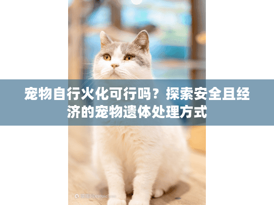 宠物自行火化可行吗？探索安全且经济的宠物遗体处理方式