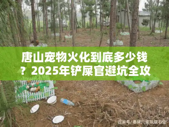 唐山宠物火化到底多少钱？2025年铲屎官避坑全攻略