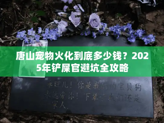 唐山宠物火化到底多少钱？2025年铲屎官避坑全攻略