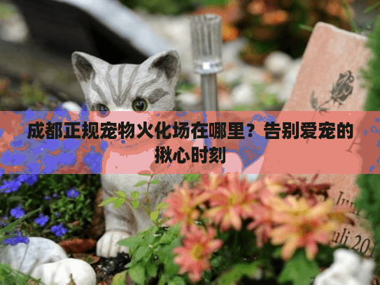 成都正规宠物火化场在哪里？告别爱宠的揪心时刻