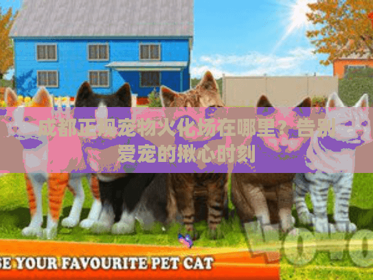 成都正规宠物火化场在哪里？告别爱宠的揪心时刻