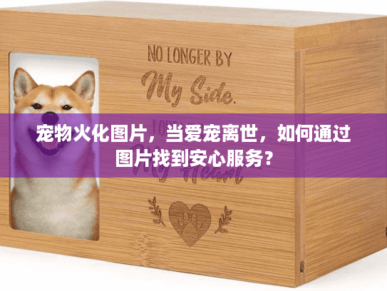 宠物火化图片,当爱宠离世,如何通过图片找到安心服务? 宠物火化图片,当爱宠离世,如何通过图片找到安心服务?