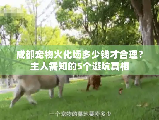 成都宠物火化场多少钱才合理？主人需知的5个避坑真相