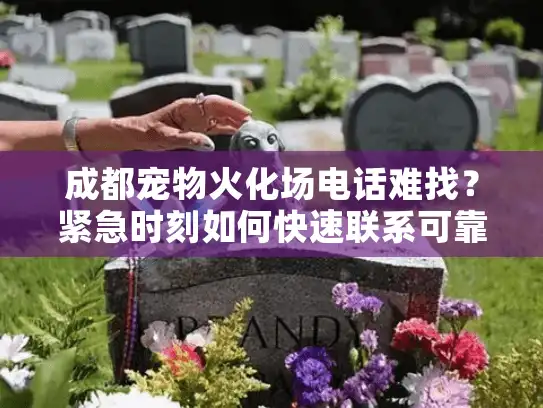 成都宠物火化场电话难找？紧急时刻如何快速联系可靠服务