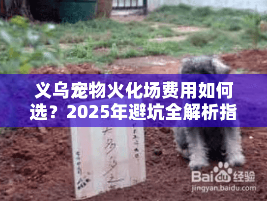 义乌宠物火化场费用如何选？2025年避坑全解析指南