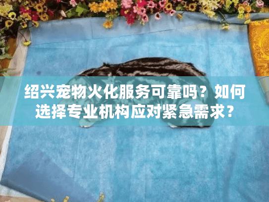 绍兴宠物火化服务可靠吗？如何选择专业机构应对紧急需求？