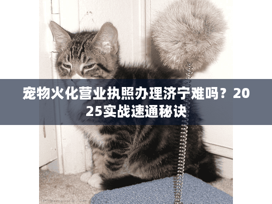 宠物火化营业执照办理济宁难吗？2025实战速通秘诀