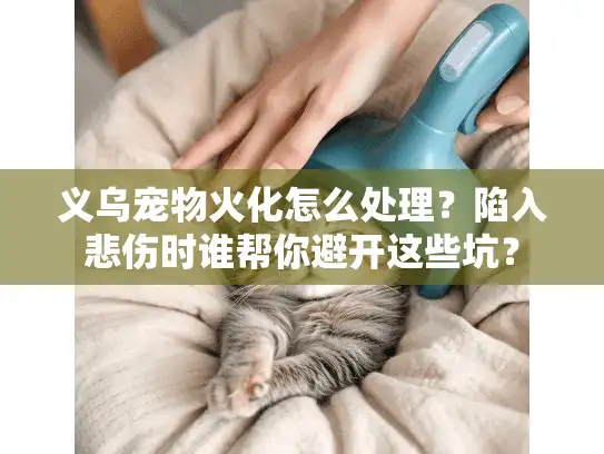 义乌宠物火化怎么处理？陷入悲伤时谁帮你避开这些坑？