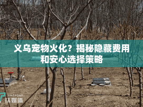 义乌宠物火化？揭秘隐藏费用和安心选择策略