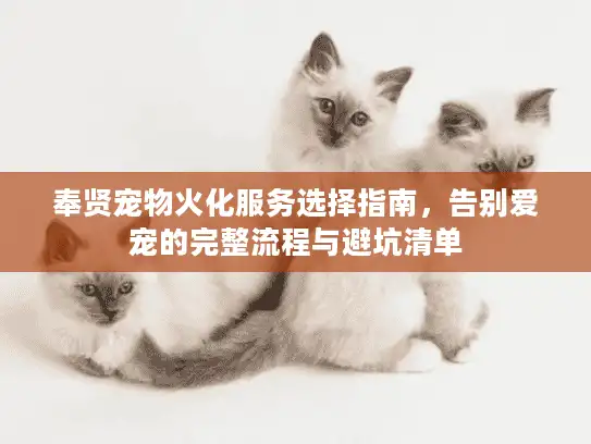 奉贤宠物火化服务选择指南，告别爱宠的完整流程与避坑清单