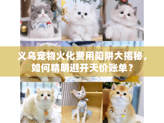 义乌宠物火化费用陷阱大揭秘，如何精明避开天价账单？