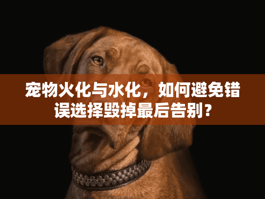宠物火化与水化，如何避免错误选择毁掉最后告别？