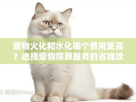 宠物火化和水化哪个费用更高？选择宠物殡葬服务的省钱攻略