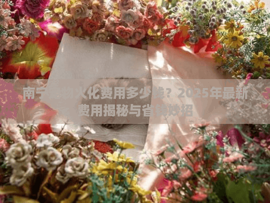 南宁宠物火化费用多少钱？2025年最新费用揭秘与省钱妙招