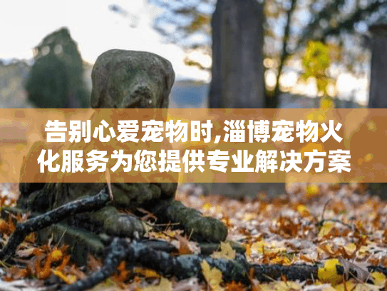 告别心爱宠物时,淄博宠物火化服务为您提供专业解决方案