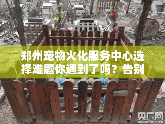 郑州宠物火化服务中心选择难题你遇到了吗?告别爱宠时这些坑千万别踩! 郑州宠物火化服务中心选择难题你遇到了吗?告别爱宠时这些坑千万别踩!