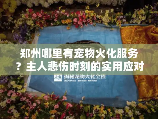 郑州哪里有宠物火化服务？主人悲伤时刻的实用应对方案