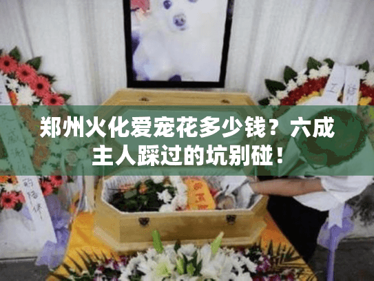 郑州火化爱宠花多少钱？六成主人踩过的坑别碰！