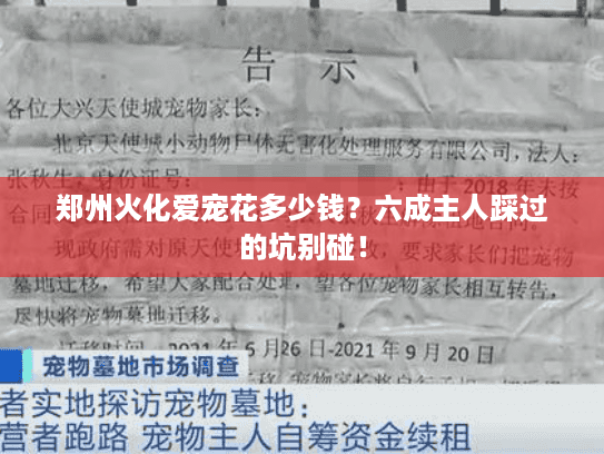 郑州火化爱宠花多少钱？六成主人踩过的坑别碰！