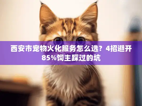 西安市宠物火化服务怎么选？4招避开85%饲主踩过的坑