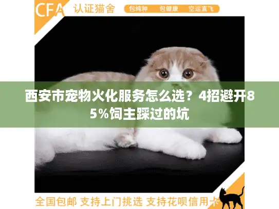 西安市宠物火化服务怎么选？4招避开85%饲主踩过的坑