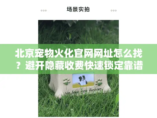 北京宠物火化官网网址怎么找？避开隐藏收费快速锁定靠谱服务