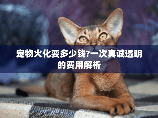 宠物火化要多少钱?一次真诚透明的费用解析 宠物火化要多少钱?一次真诚透明的费用解析
