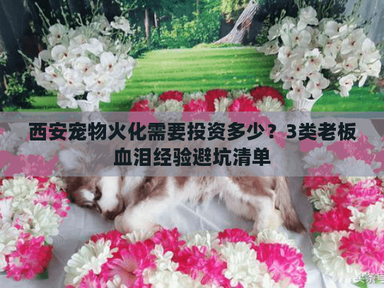 西安宠物火化需要投资多少？3类老板血泪经验避坑清单