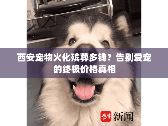 西安宠物火化殡葬多钱？告别爱宠的终极价格真相