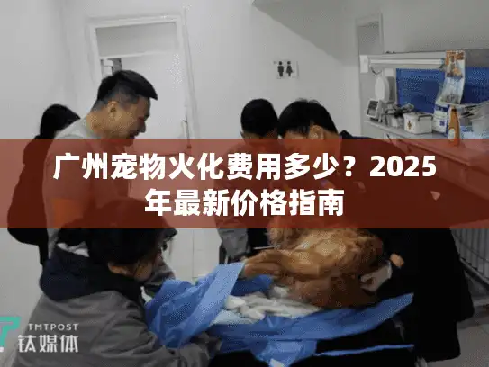 广州宠物火化费用多少？2025年最新价格指南