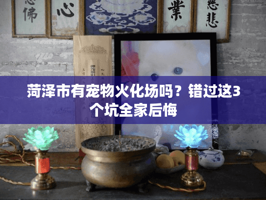 菏泽市有宠物火化场吗？错过这3个坑全家后悔