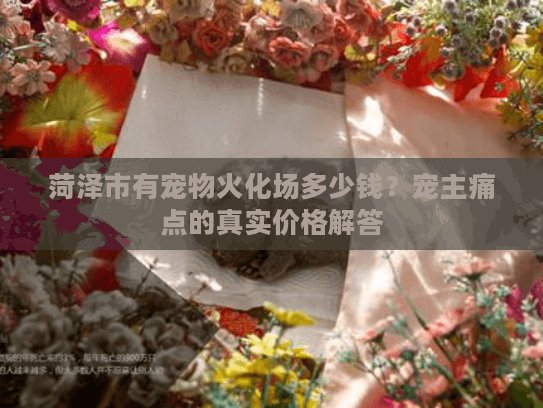 菏泽市有宠物火化场多少钱？宠主痛点的真实价格解答