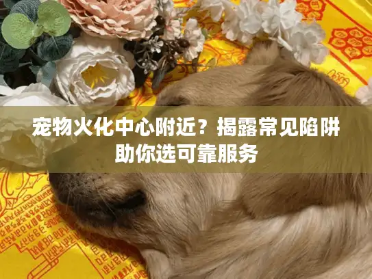 宠物火化中心附近?揭露常见陷阱助你选可靠服务 宠物火化中心附近?揭露常见陷阱助你选可靠服务