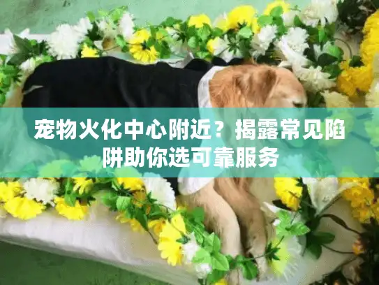 宠物火化中心附近?揭露常见陷阱助你选可靠服务 宠物火化中心附近?揭露常见陷阱助你选可靠服务