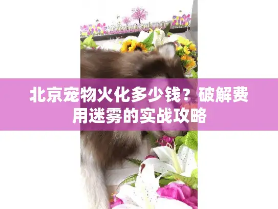 北京宠物火化多少钱?破解费用迷雾的实战攻略 北京宠物火化多少钱?破解费用迷雾的实战攻略