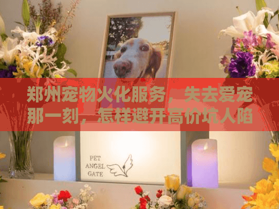 郑州宠物火化服务，失去爱宠那一刻，怎样避开高价坑人陷阱？