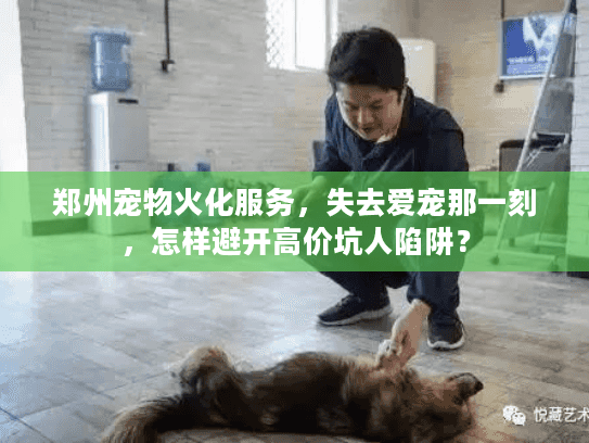 郑州宠物火化服务，失去爱宠那一刻，怎样避开高价坑人陷阱？
