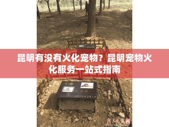 昆明有没有火化宠物？昆明宠物火化服务一站式指南