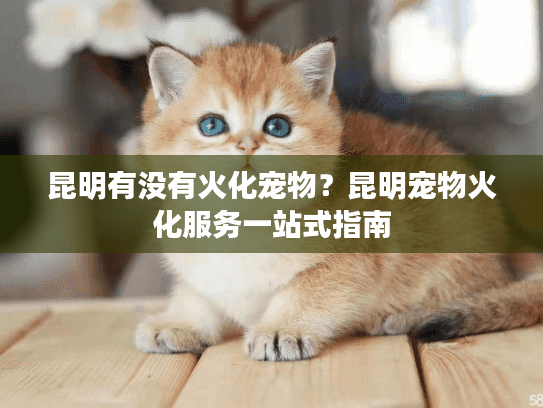 昆明有没有火化宠物？昆明宠物火化服务一站式指南
