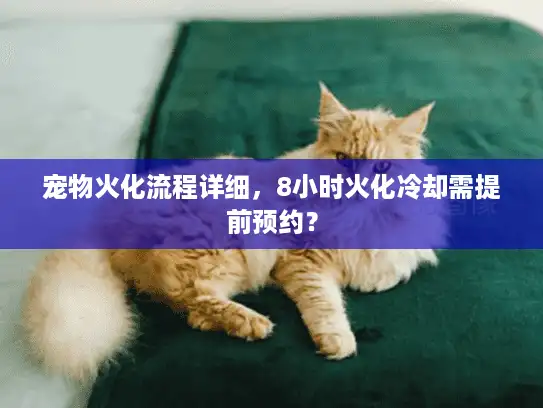 宠物火化流程详细，8小时火化冷却需提前预约？