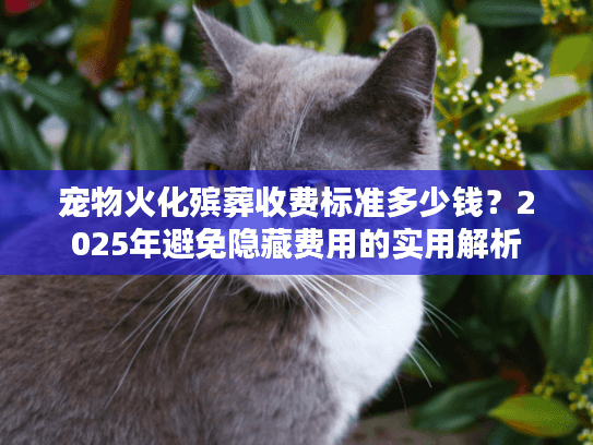 宠物火化殡葬收费标准多少钱？2025年避免隐藏费用的实用解析
