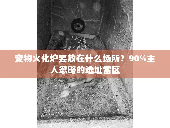 宠物火化炉要放在什么场所?90%主人忽略的选址雷区 宠物火化炉要放在什么场所?90%主人忽略的选址雷区