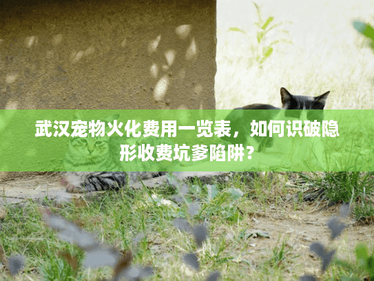 武汉宠物火化费用一览表，如何识破隐形收费坑爹陷阱？