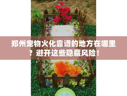 郑州宠物火化靠谱的地方在哪里?避开这些隐藏风险! 郑州宠物火化靠谱的地方在哪里?避开这些隐藏风险!